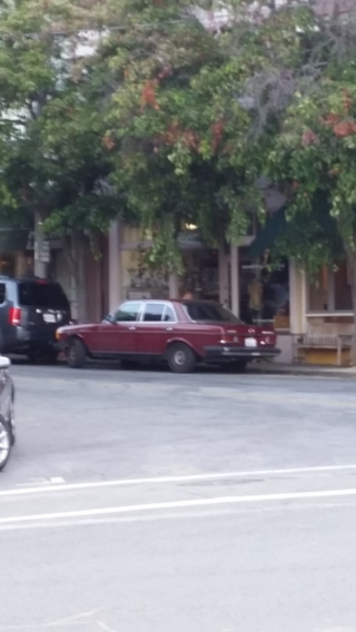 A fellow W123, actually the third I saw today as I drove mine.